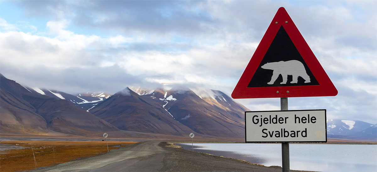 Gruppereise til Svalbard